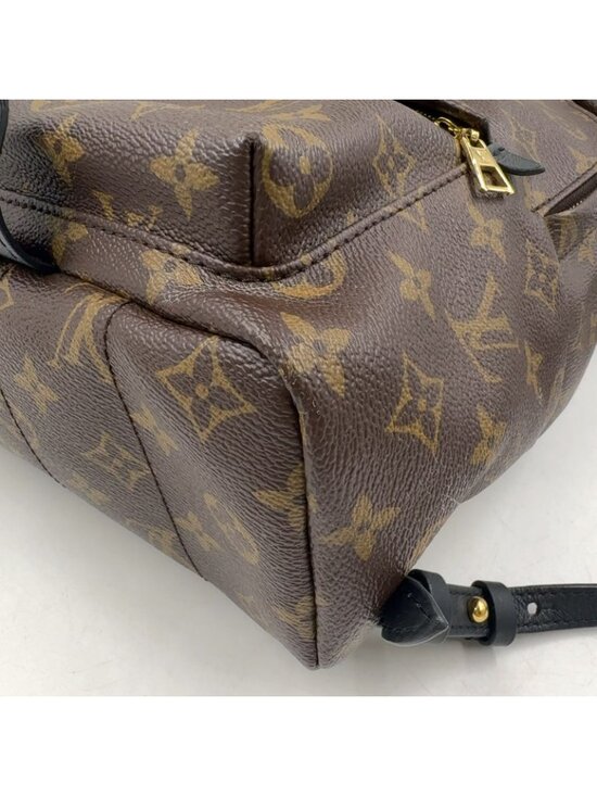 Louis Vuitton Palm Springs PM Monogram Leather Brown Black Backpack Gold main image 9